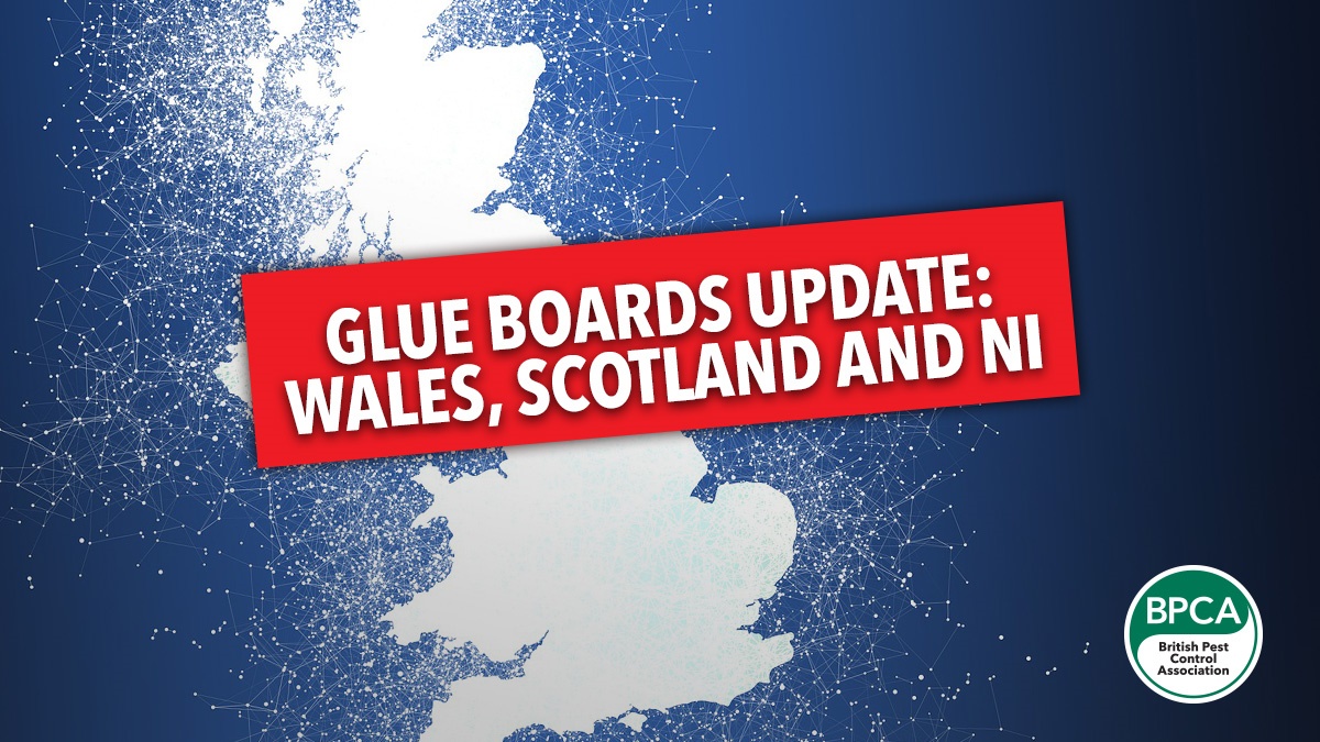 the future of glue boards  wales scotland northern ireland